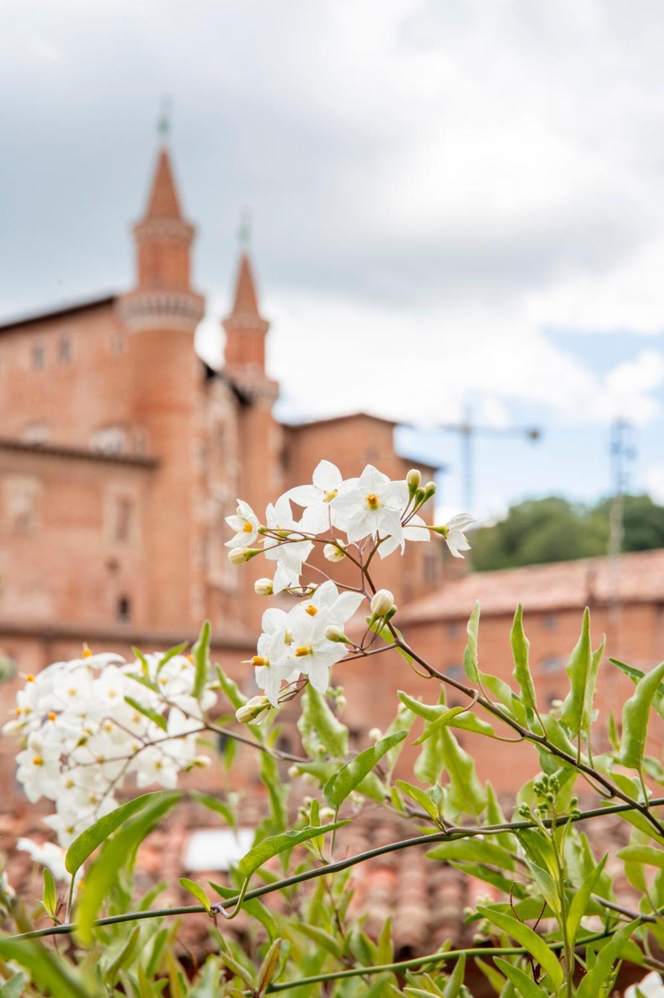 Urbino Apartment - Torricini View 外观 照片